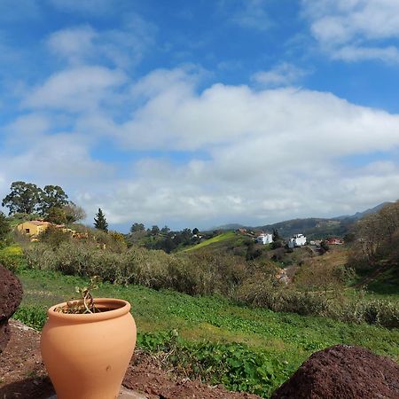 Finca Naturacanaria Moya  Dış mekan fotoğraf