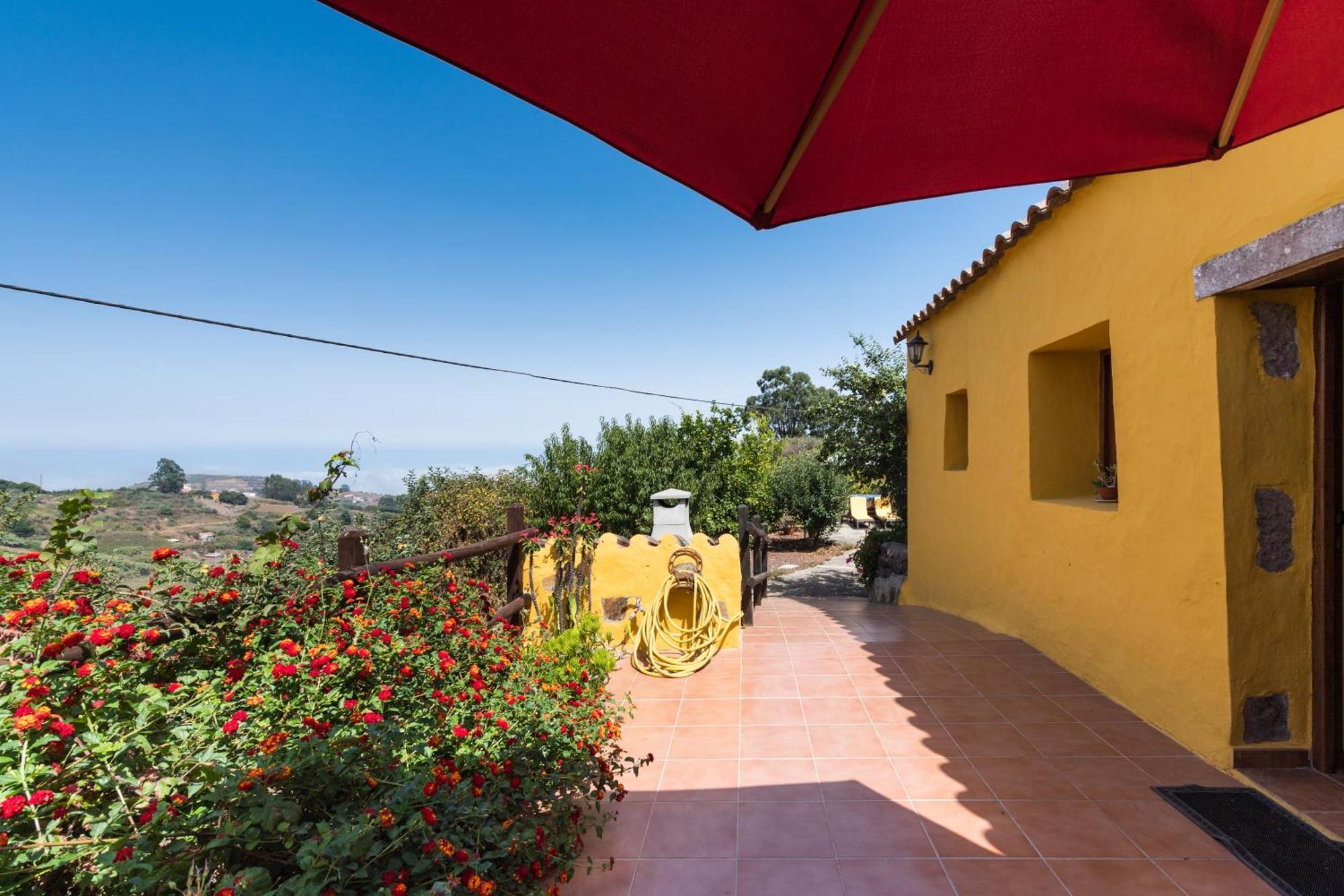 Finca Naturacanaria Moya  Dış mekan fotoğraf