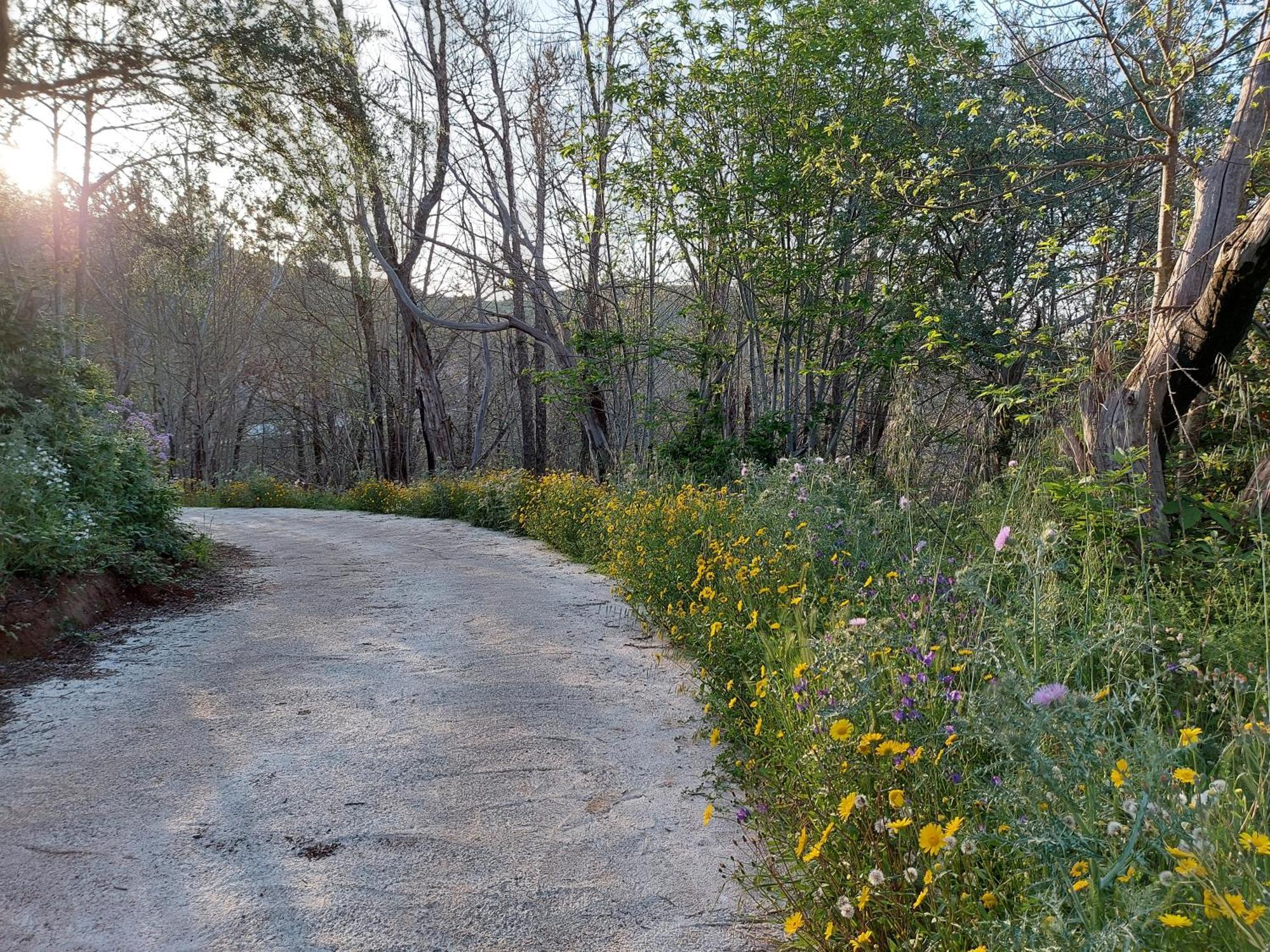 Finca Naturacanaria Moya  Dış mekan fotoğraf