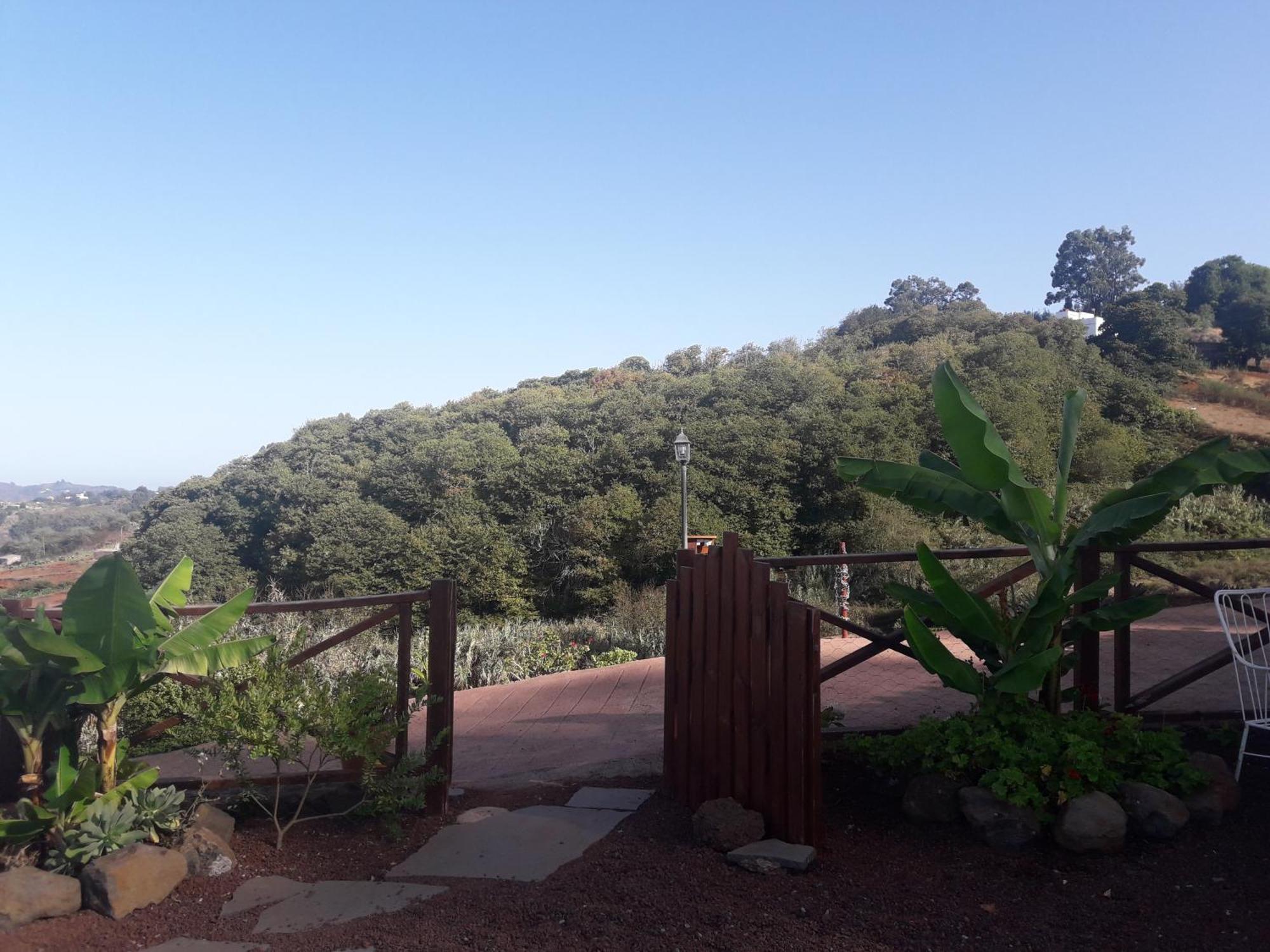 Finca Naturacanaria Moya  Dış mekan fotoğraf
