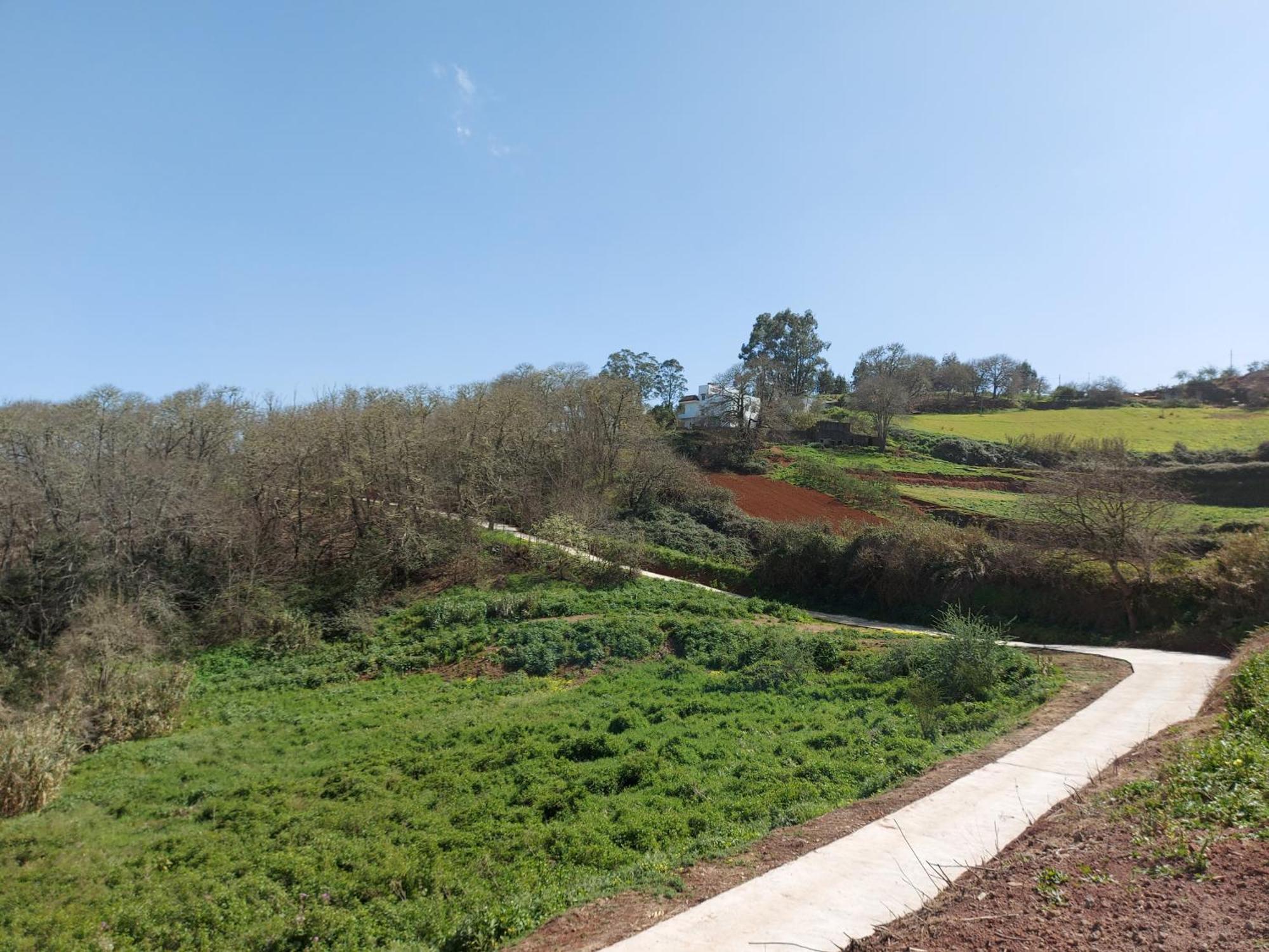 Finca Naturacanaria Moya  Dış mekan fotoğraf