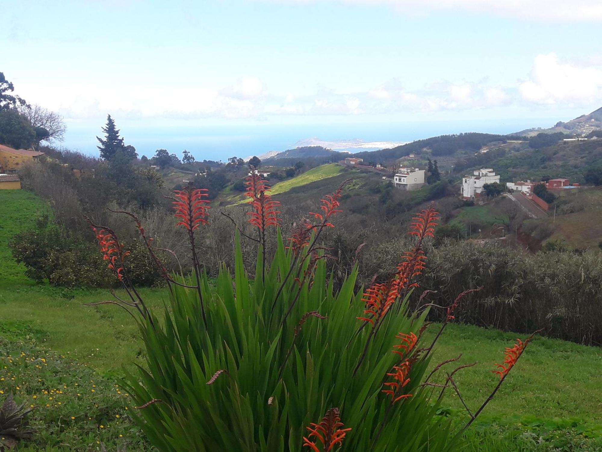 Finca Naturacanaria Moya  Dış mekan fotoğraf