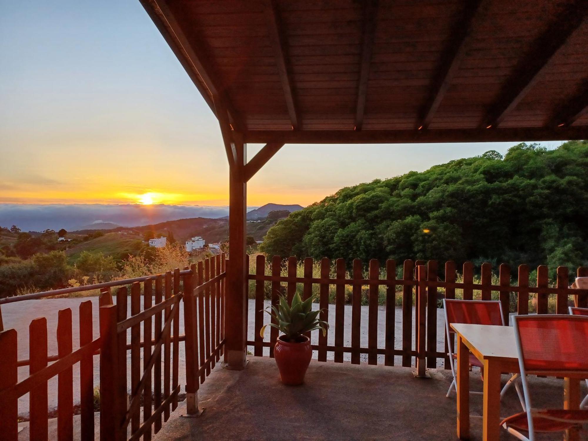 Finca Naturacanaria Moya  Dış mekan fotoğraf