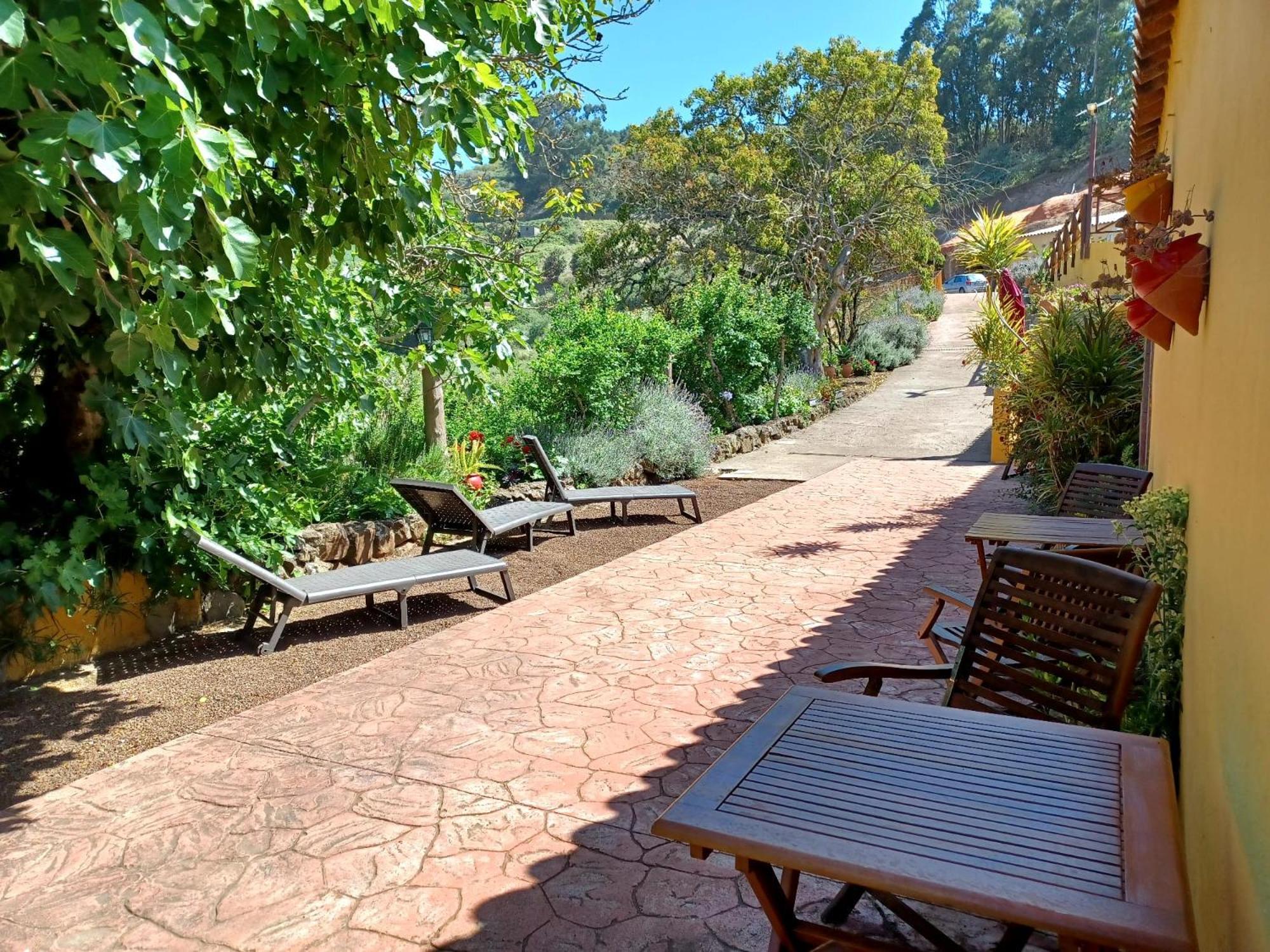 Finca Naturacanaria Moya  Dış mekan fotoğraf
