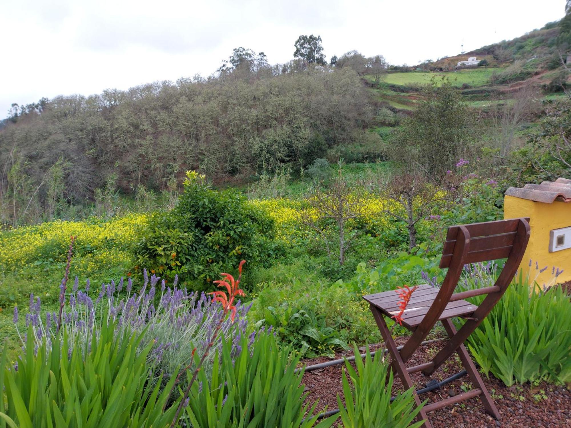 Finca Naturacanaria Moya  Dış mekan fotoğraf