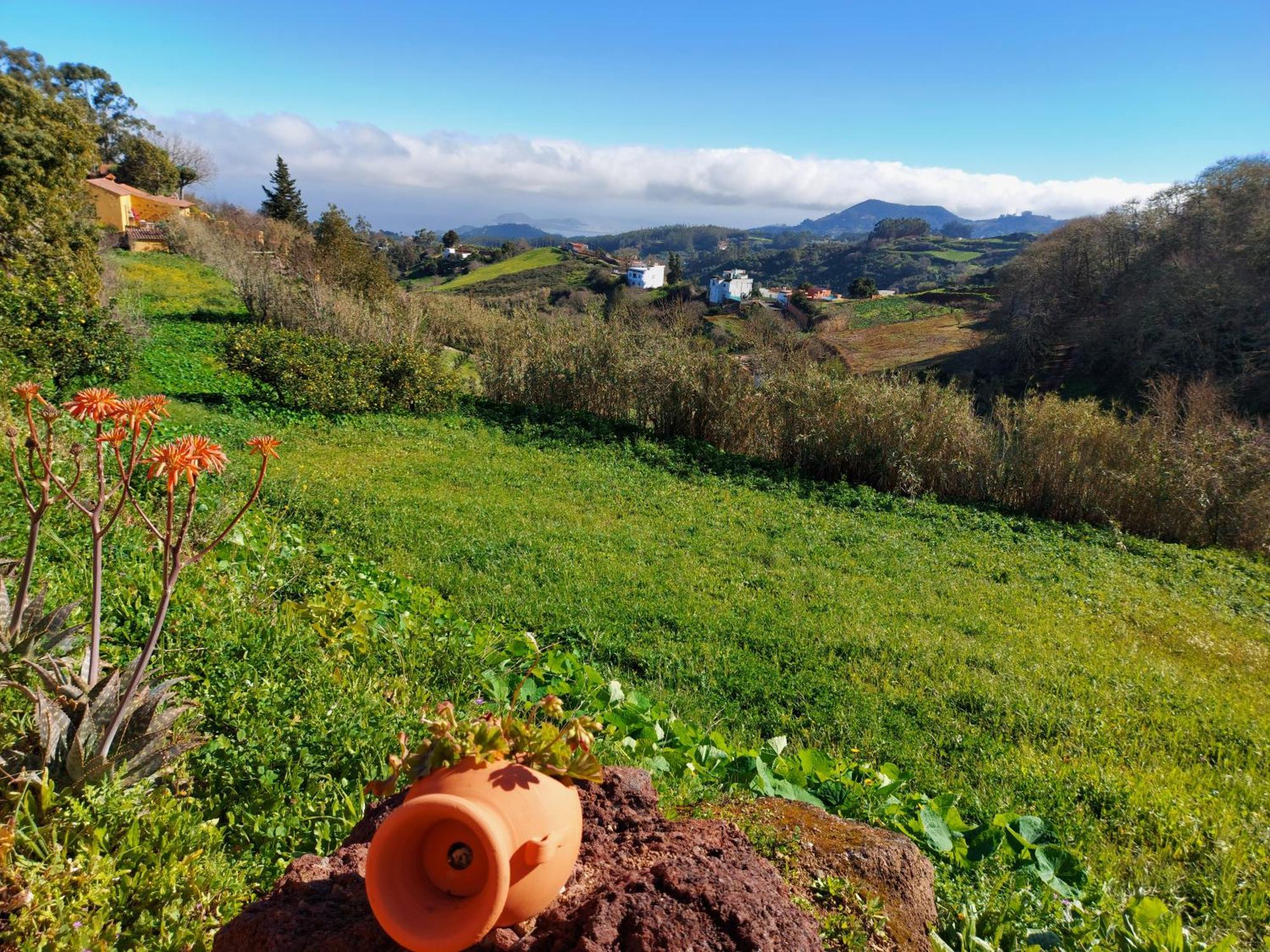 Finca Naturacanaria Moya  Dış mekan fotoğraf