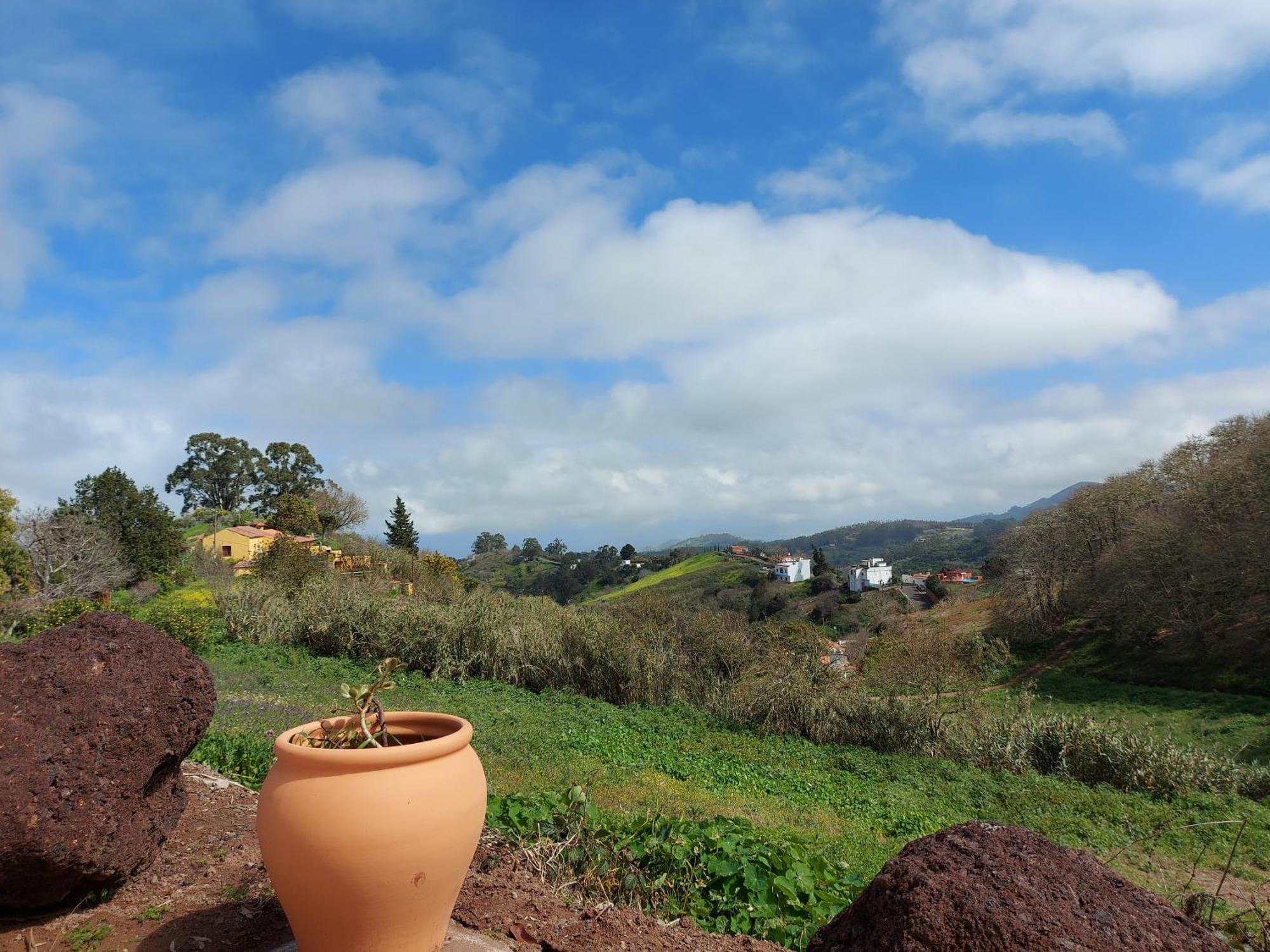 Finca Naturacanaria Moya  Dış mekan fotoğraf