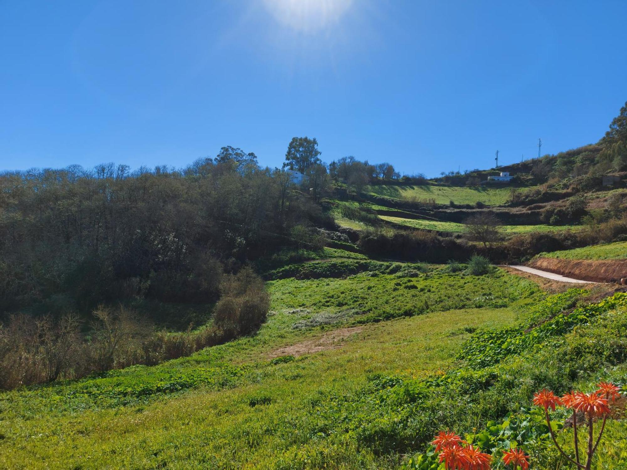 Finca Naturacanaria Moya  Dış mekan fotoğraf