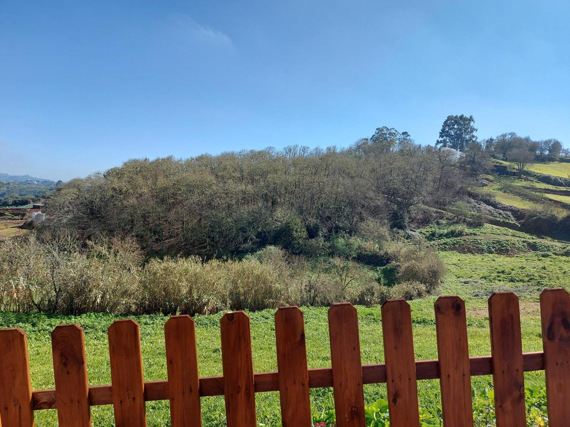 Finca Naturacanaria Moya  Dış mekan fotoğraf