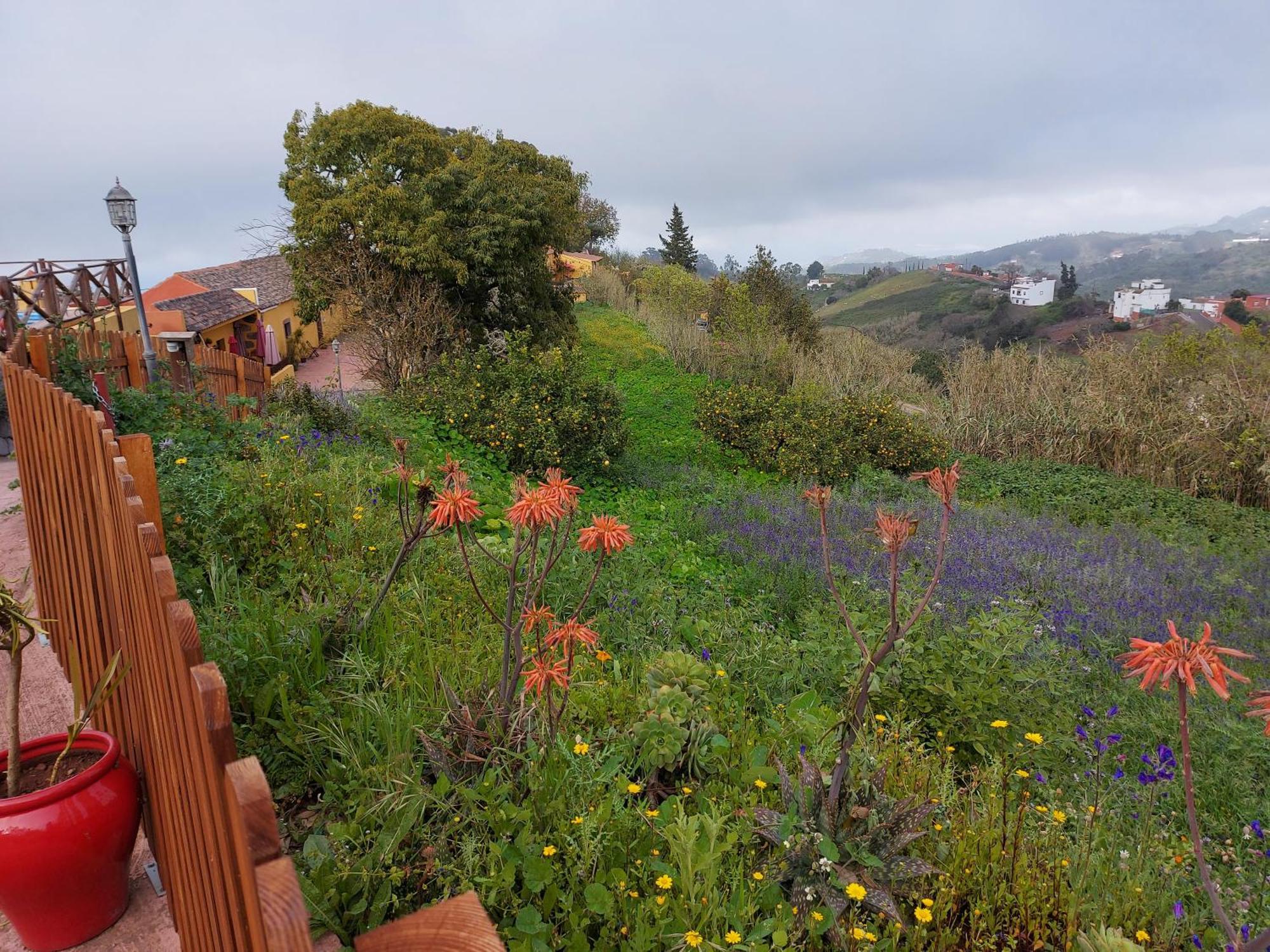 Finca Naturacanaria Moya  Dış mekan fotoğraf