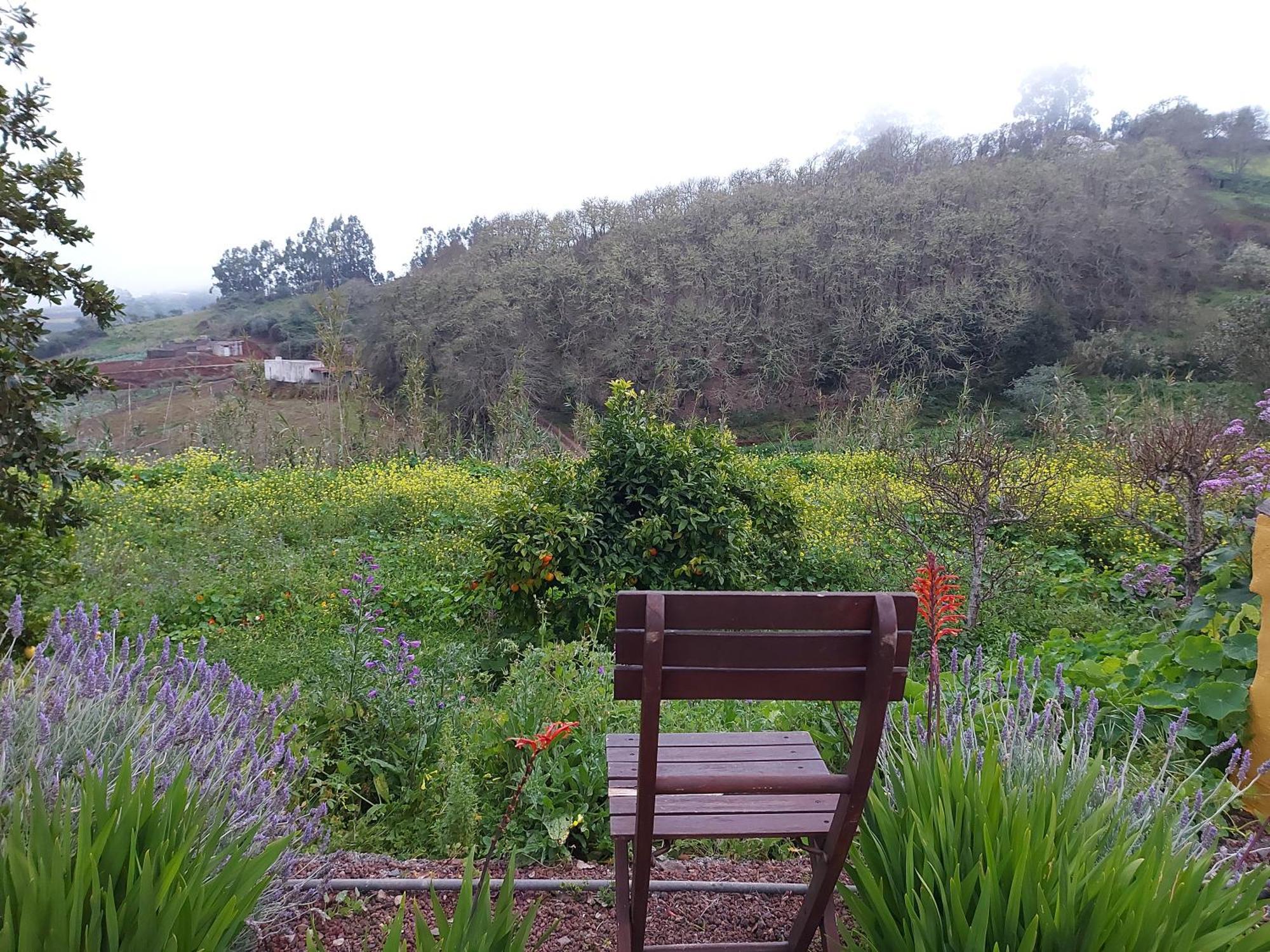 Finca Naturacanaria Moya  Dış mekan fotoğraf