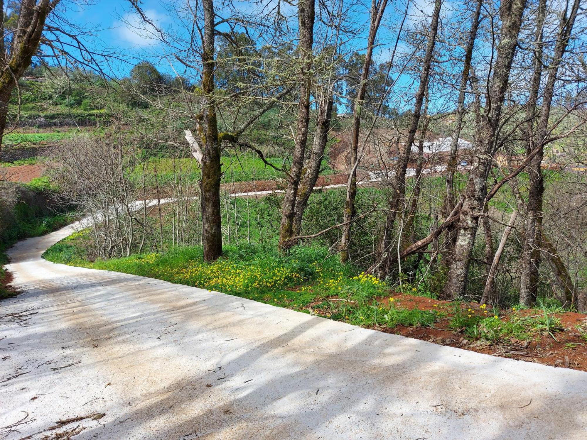 Finca Naturacanaria Moya  Dış mekan fotoğraf